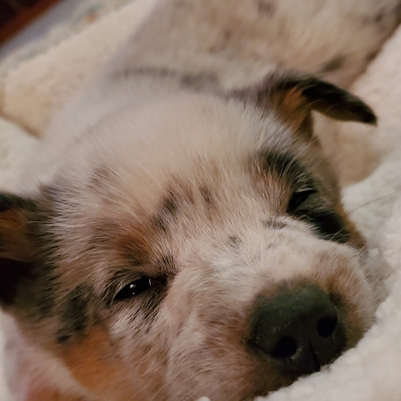 Meet your Posher, Kawhi - Picture 1 of 1